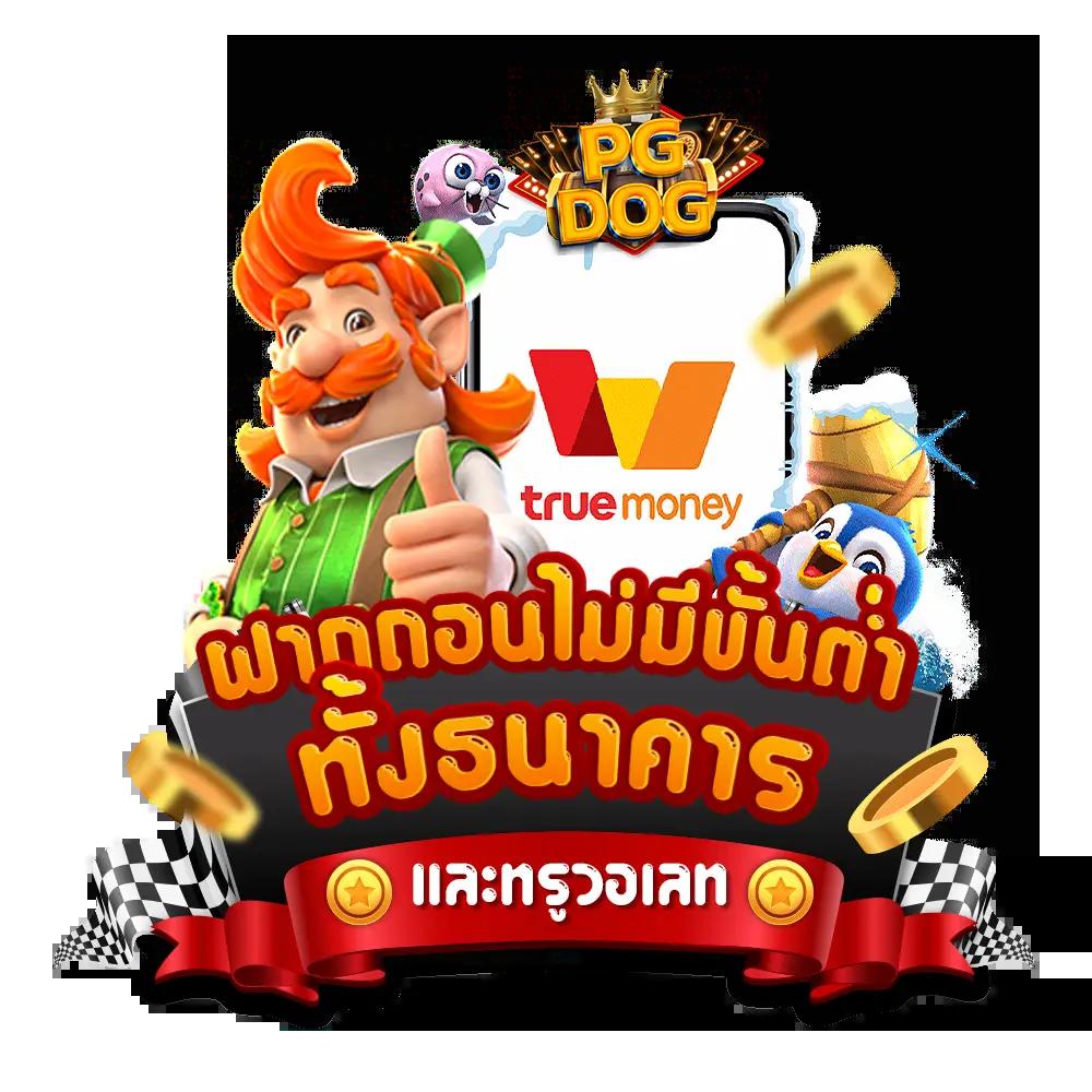 zeed777plus เว็บตรง สล็อต ฝากถอนออโต้ ไม่ผ่านเอเย่นต์ 2026